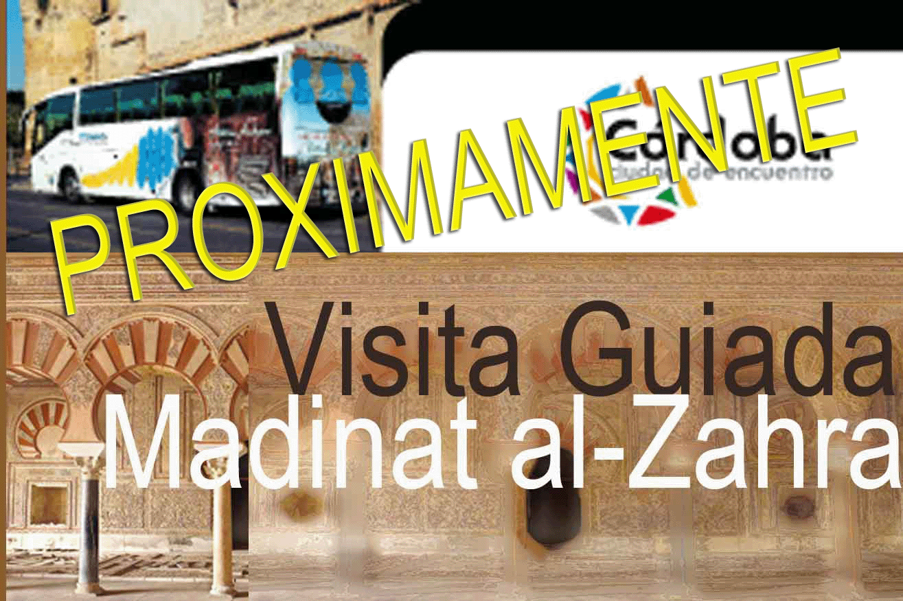 Visita Guiada Madinat al-Zhara